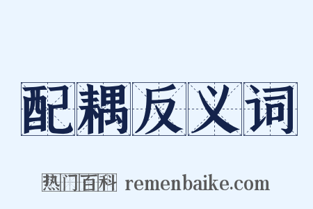 配耦反义词是什么意思的图片